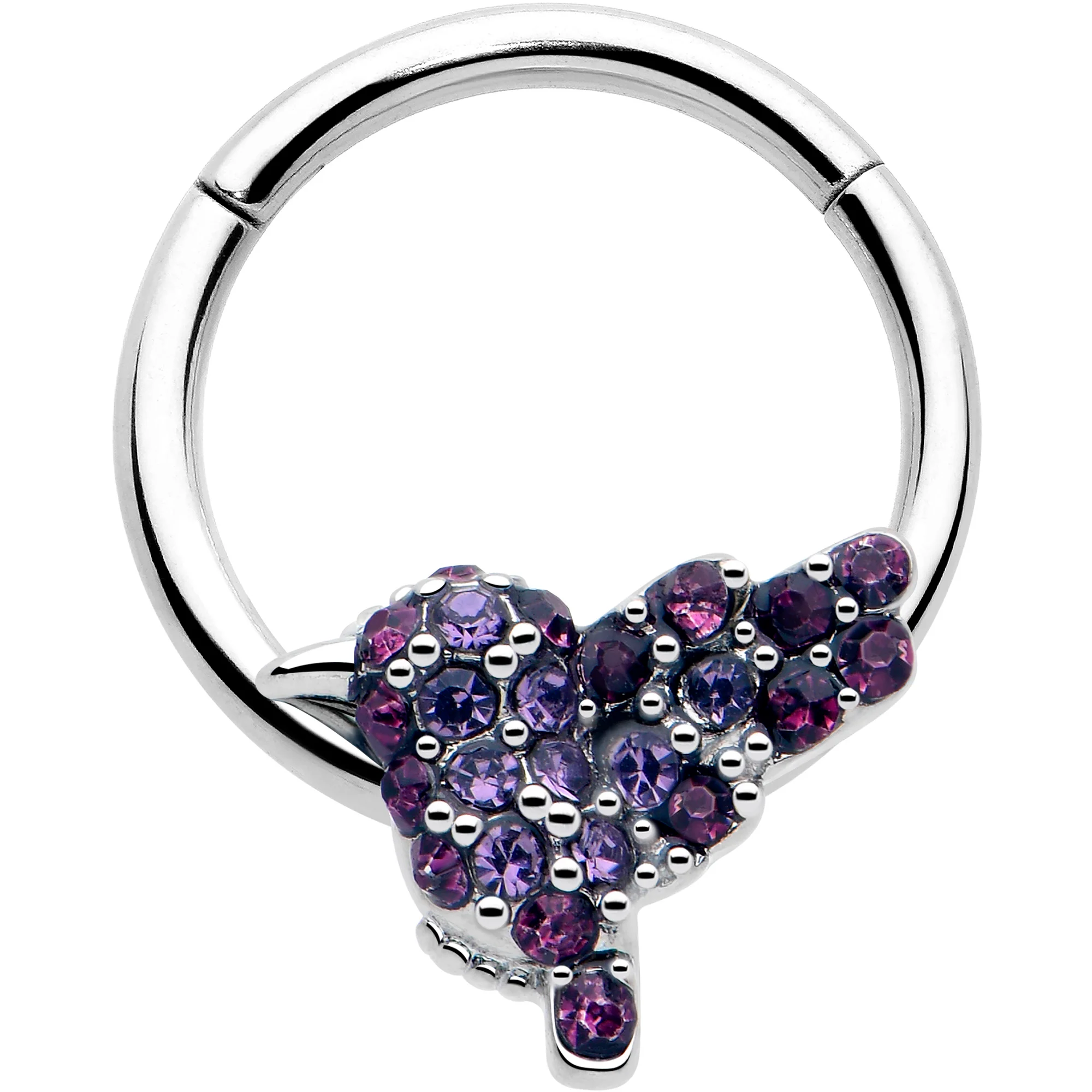 New Nose Rings